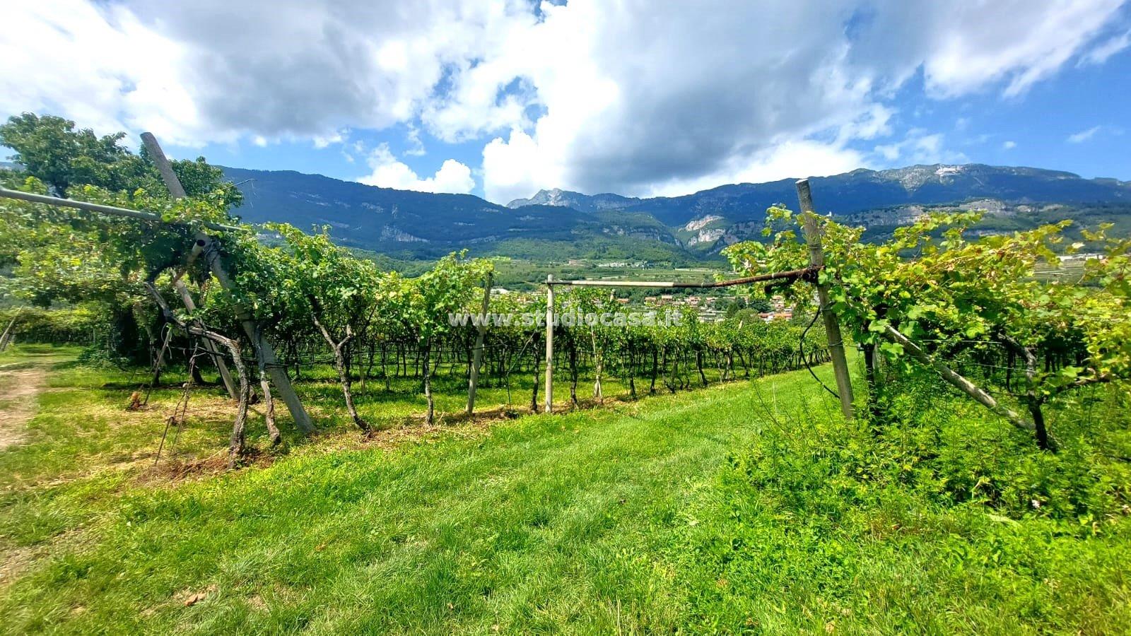 Terreno Agricolo in vendita a Nogaredo