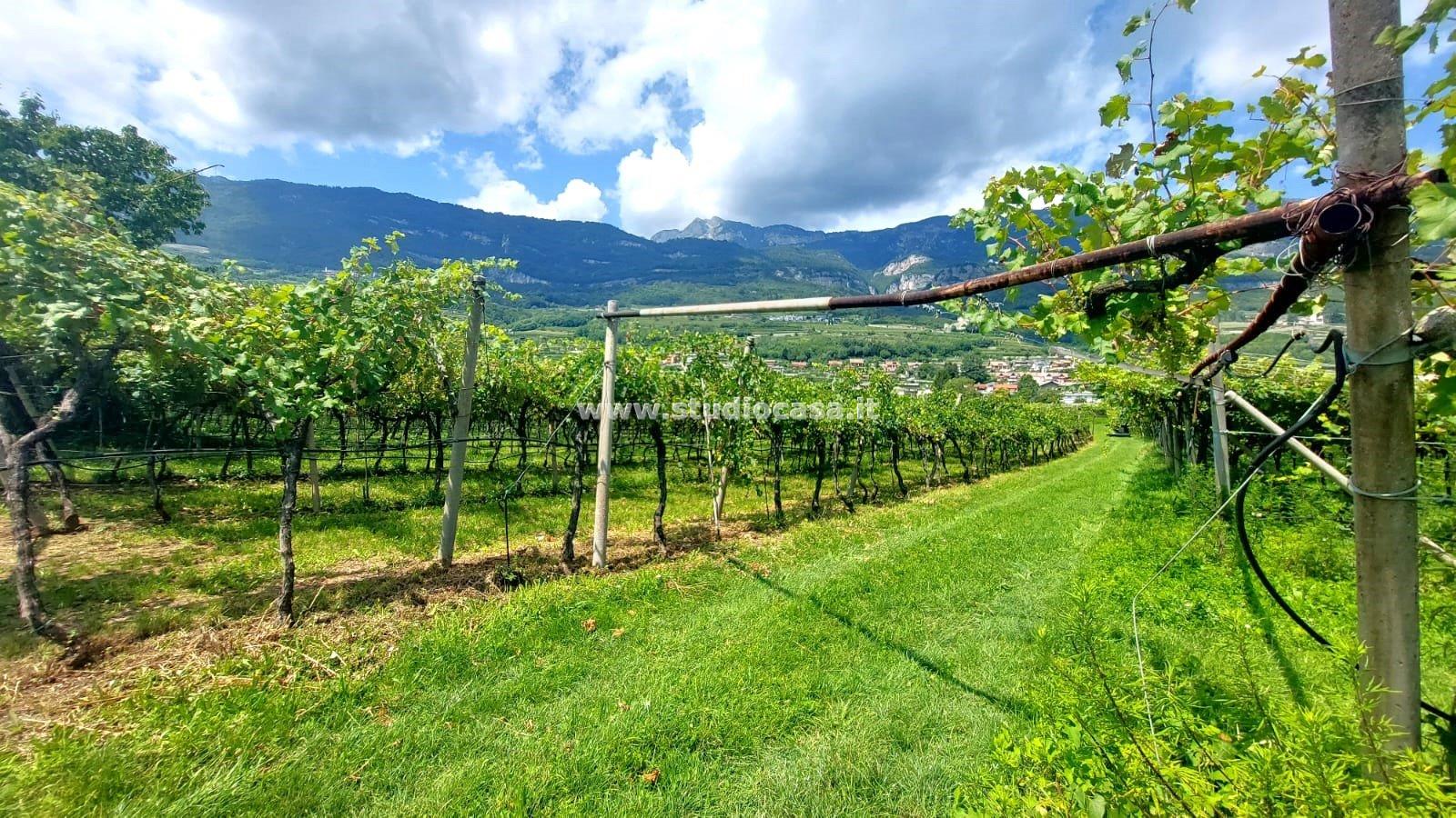 Terreno Agricolo in vendita a Nogaredo