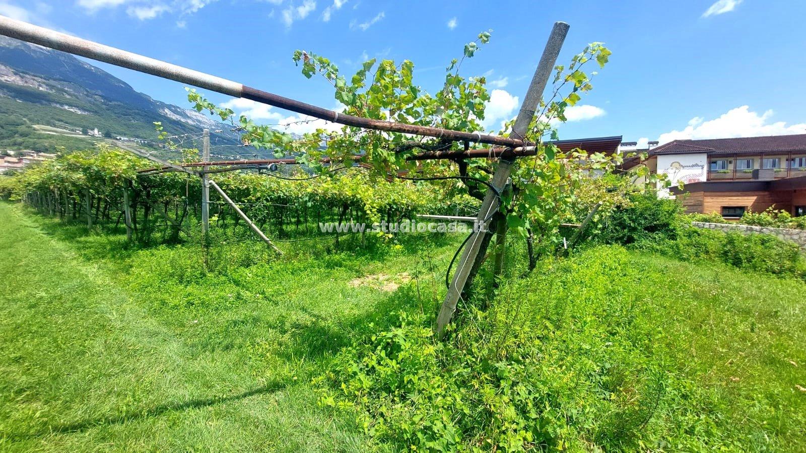 Terreno Agricolo in vendita a Nogaredo