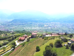 Terreno Agricolo in vendita a Isera