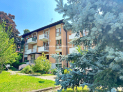 Appartamento in vendita a Pomarolo