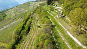 Terreno Agricolo in vendita a Isera