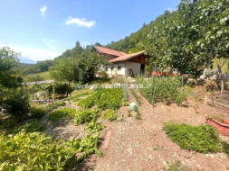 Azienda in vendita a Trambileno