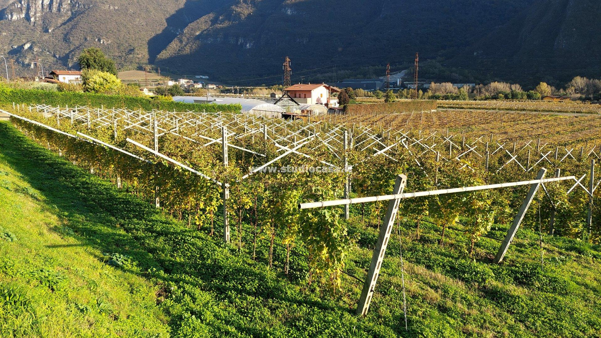 Terreno Artigianale in vendita a Avio