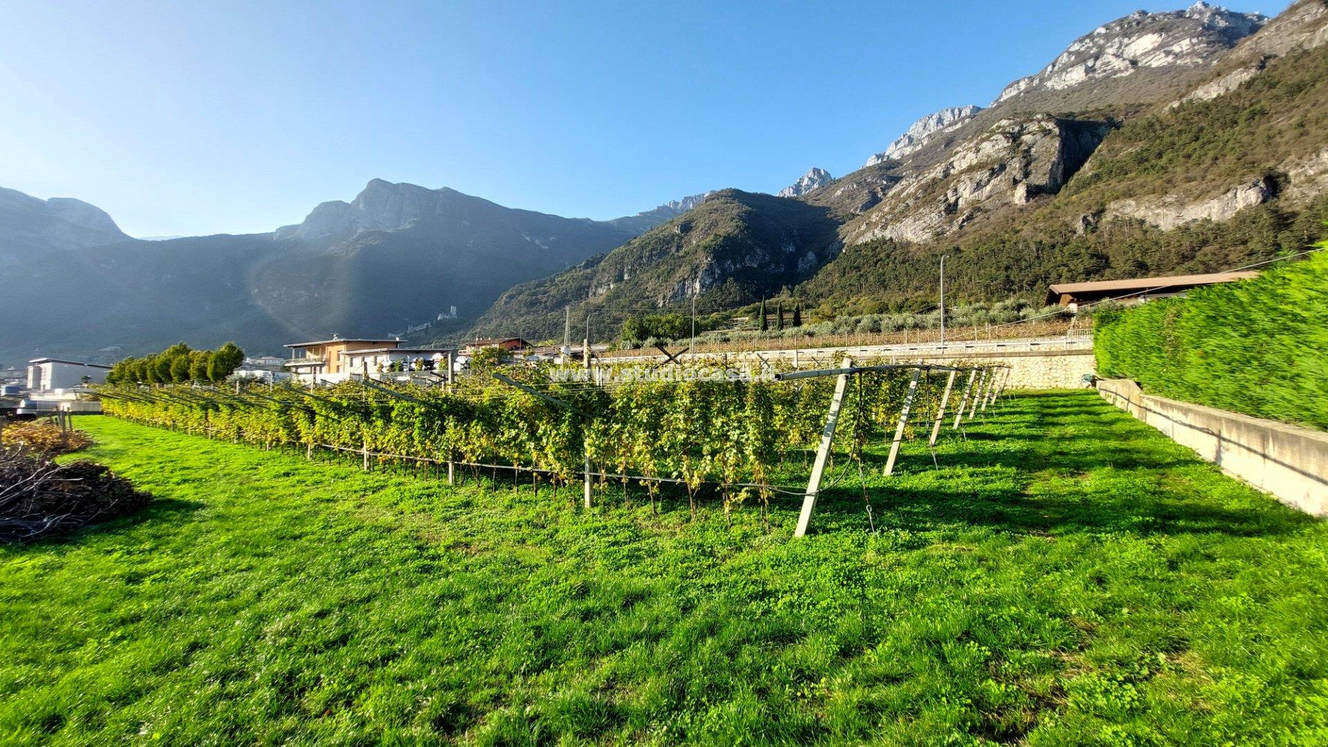 Terreno Artigianale in vendita a Avio