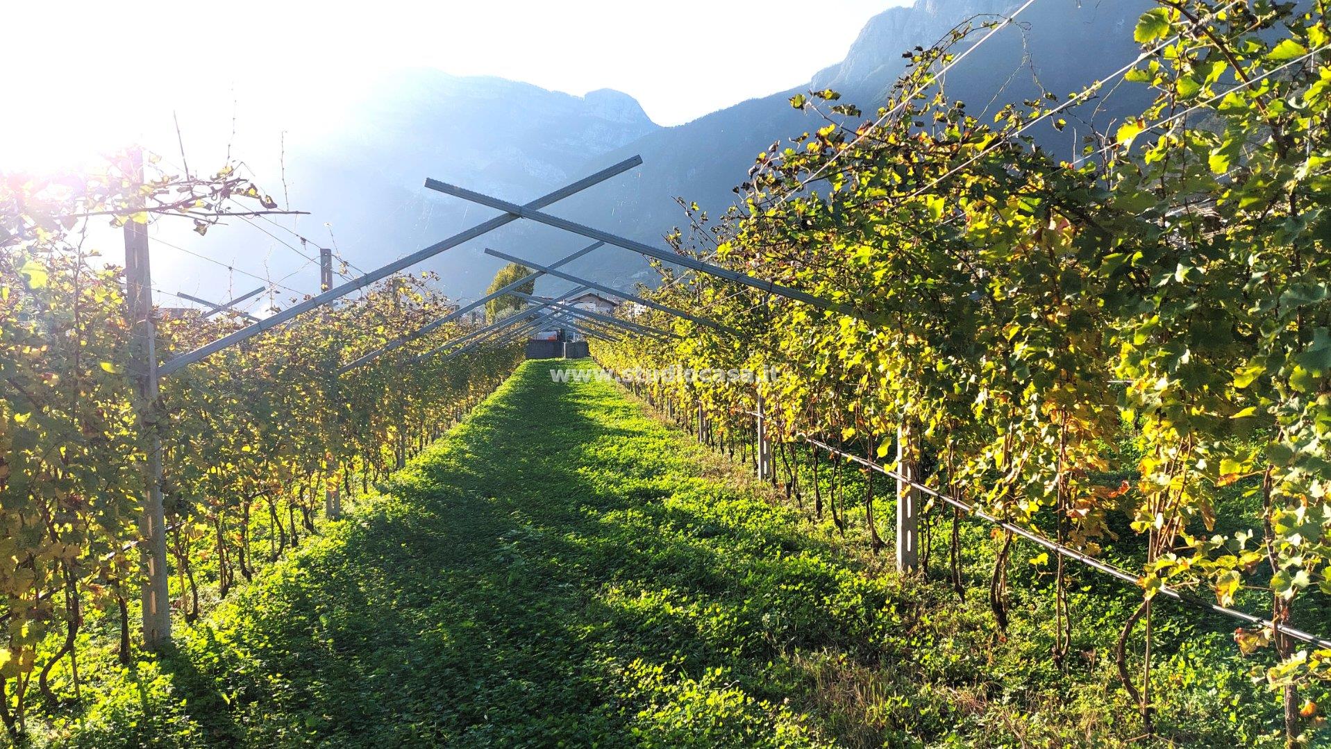 Terreno Artigianale in vendita a Avio