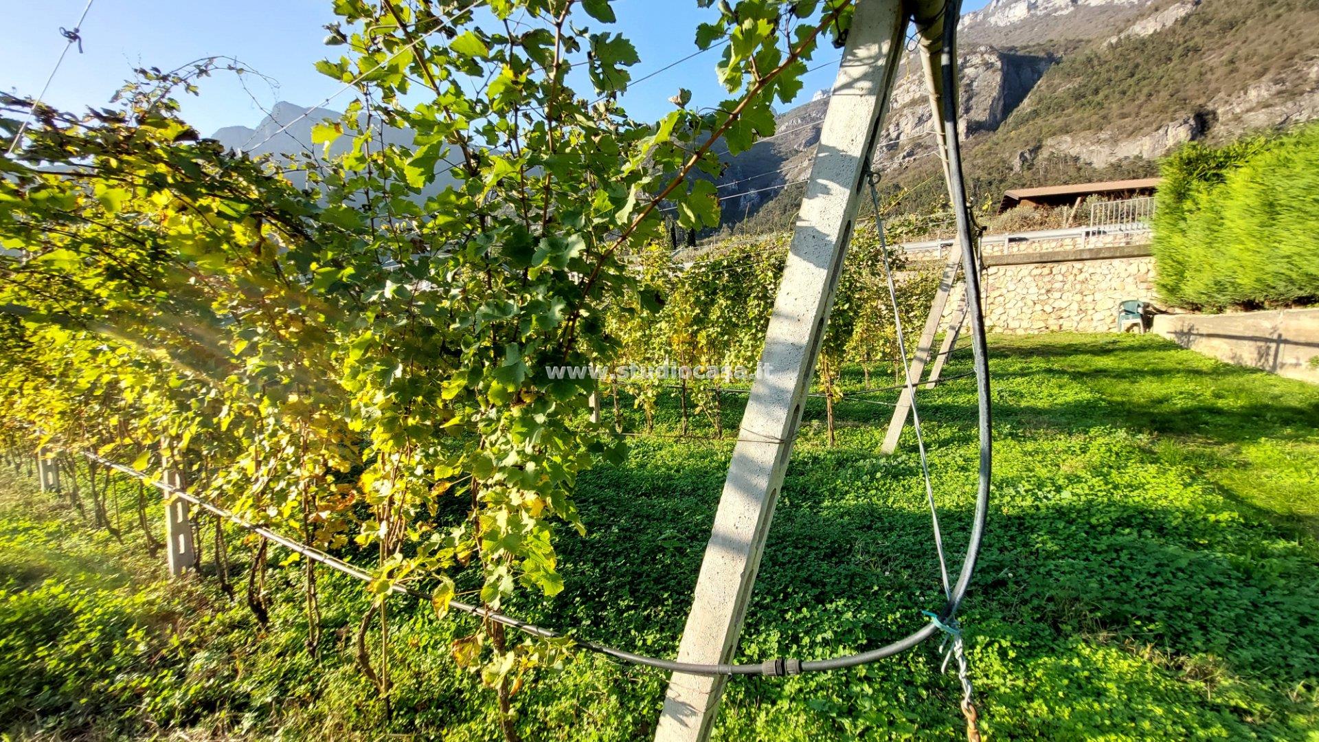 Terreno Artigianale in vendita a Avio