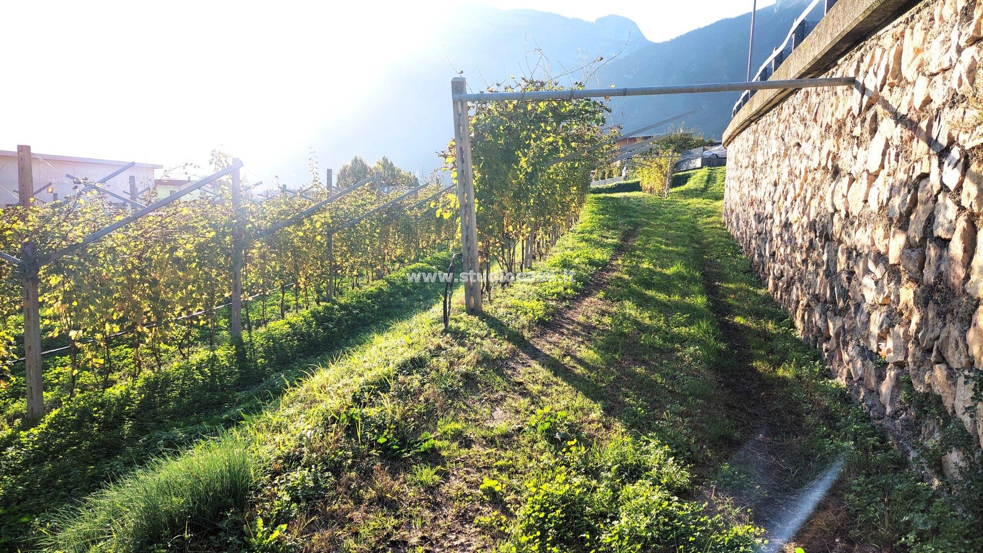 Terreno Artigianale in vendita a Avio