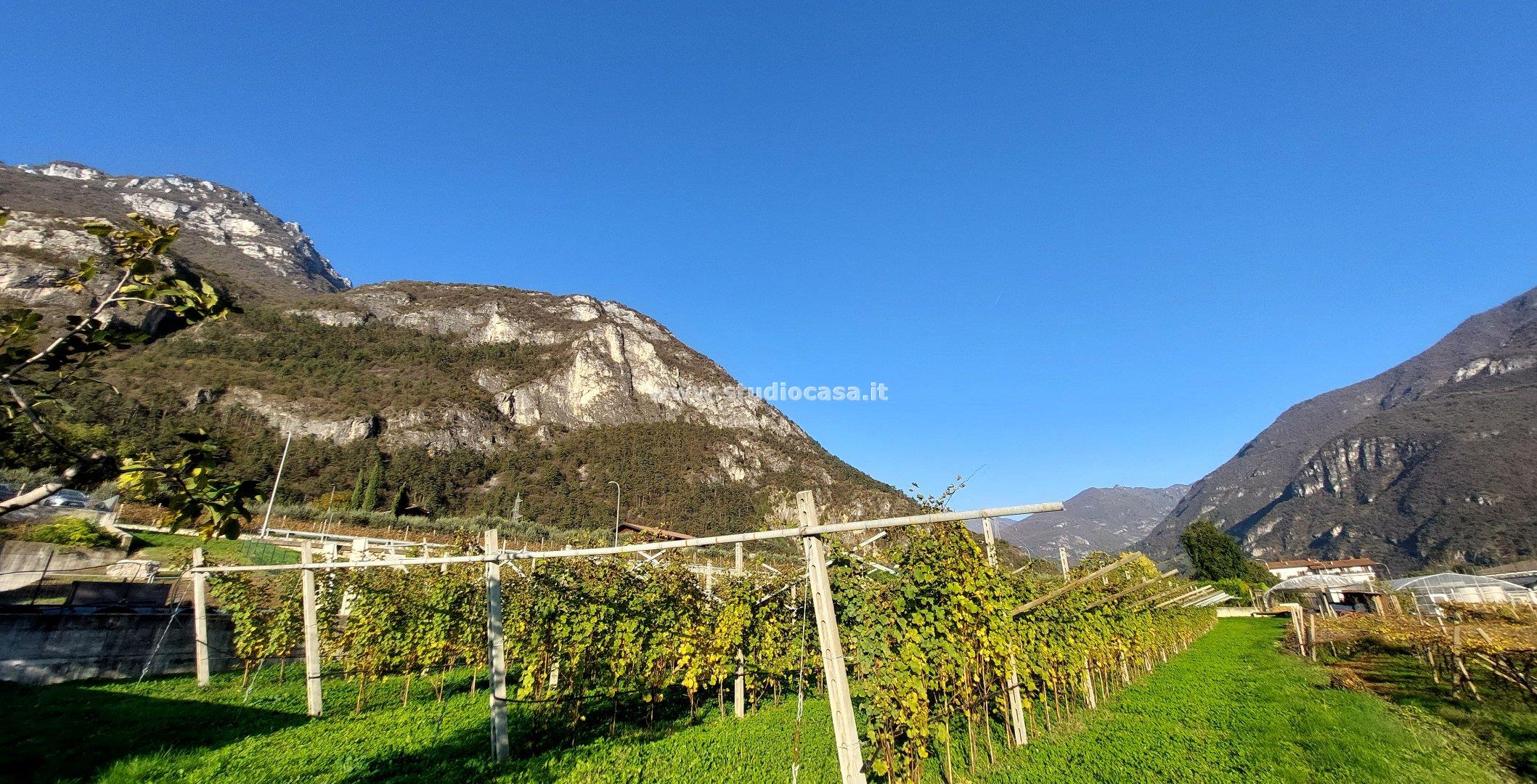 Terreno Artigianale in vendita a Avio