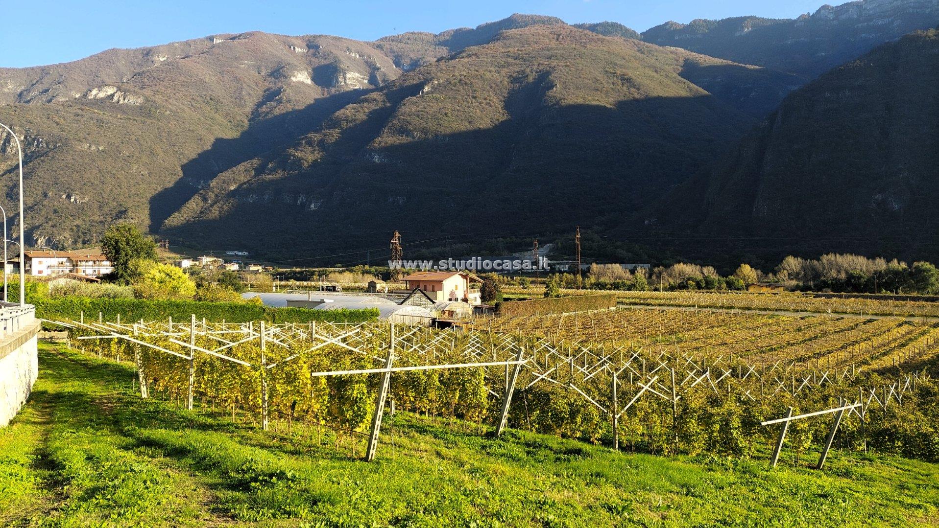 Terreno Artigianale in vendita a Avio