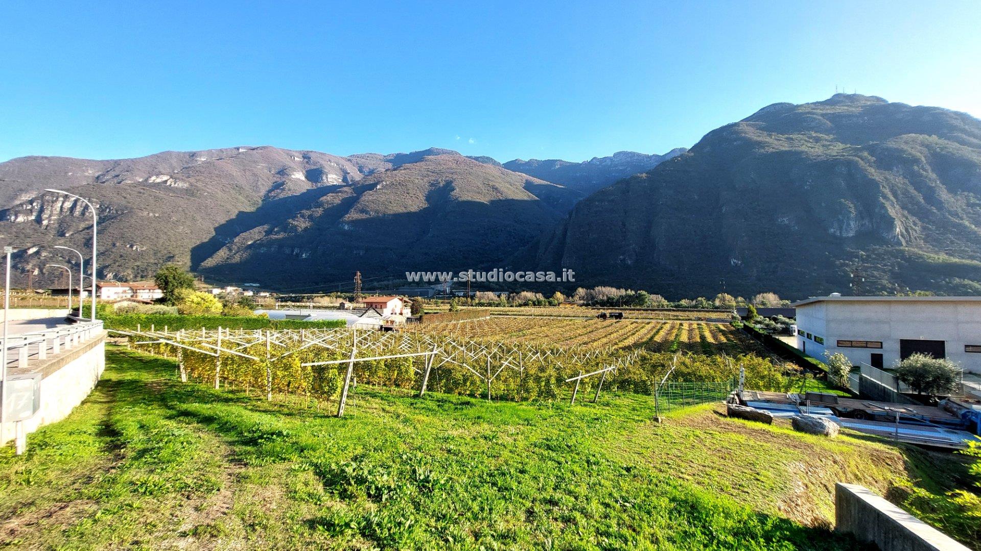 Terreno Artigianale in vendita a Avio