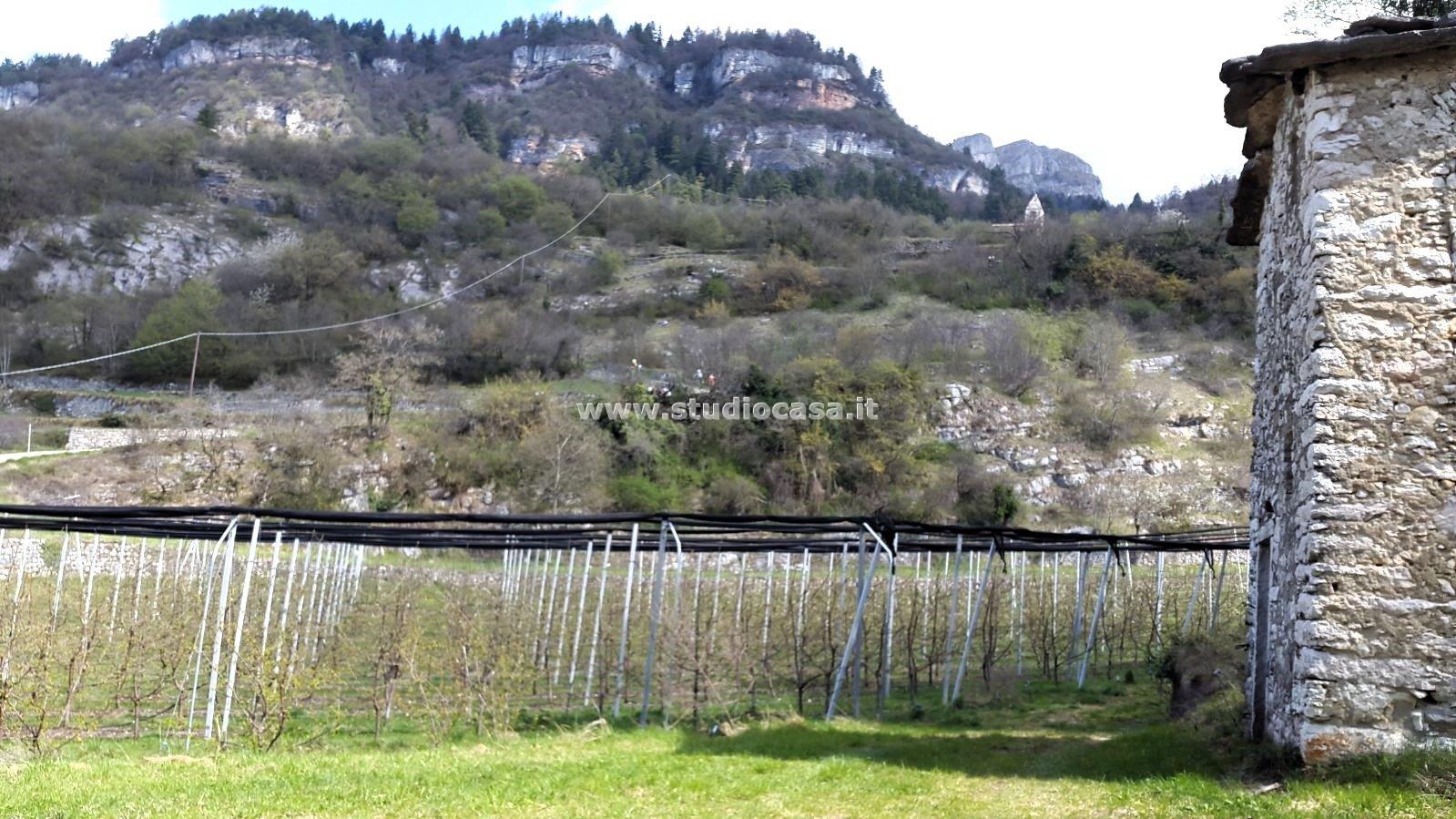Terreno Agricolo in vendita a Mori