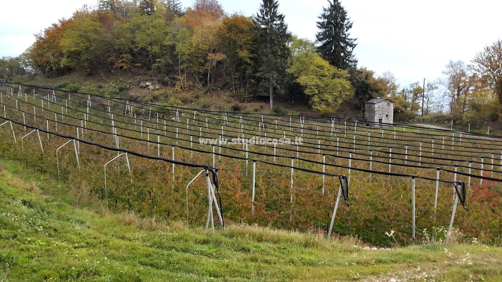 Terreno Agricolo in vendita a Mori