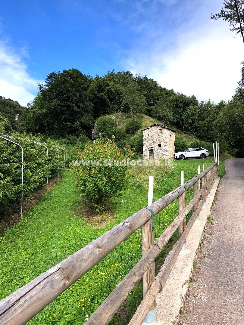 Terreno Agricolo in vendita a Mori