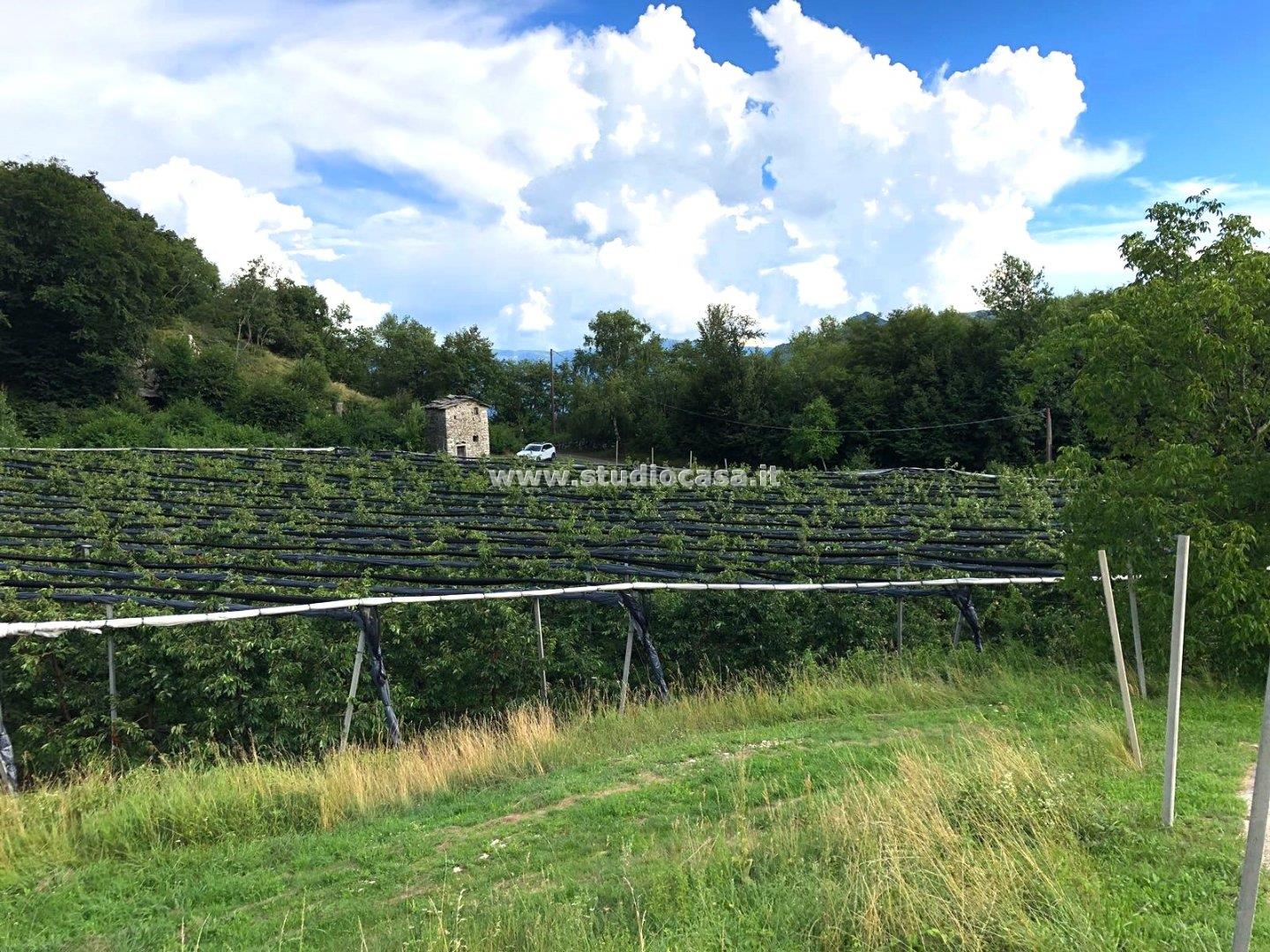 Terreno Agricolo in vendita a Mori