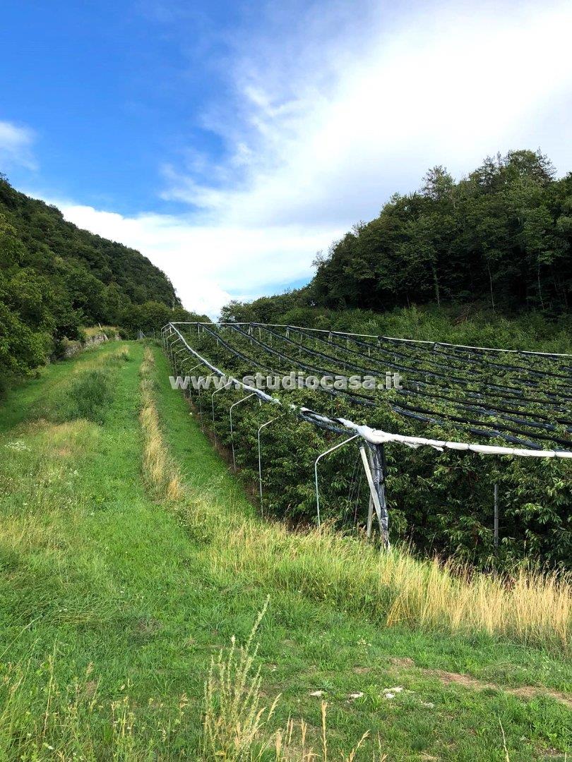 Terreno Agricolo in vendita a Mori