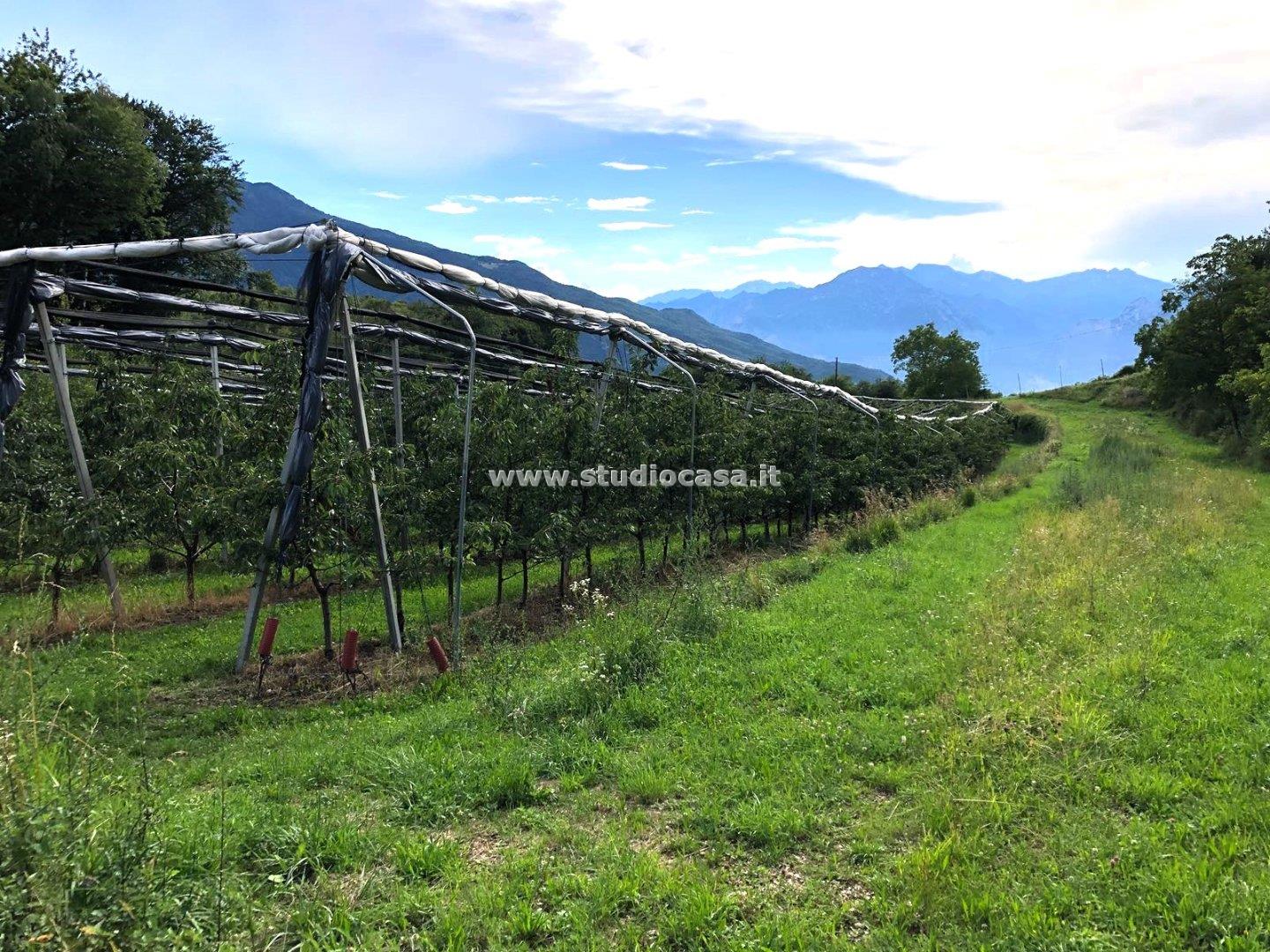 Terreno Agricolo in vendita a Mori