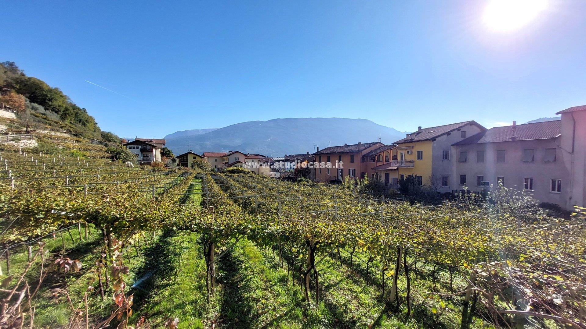 Casa Plurifamiliare in vendita a Mori