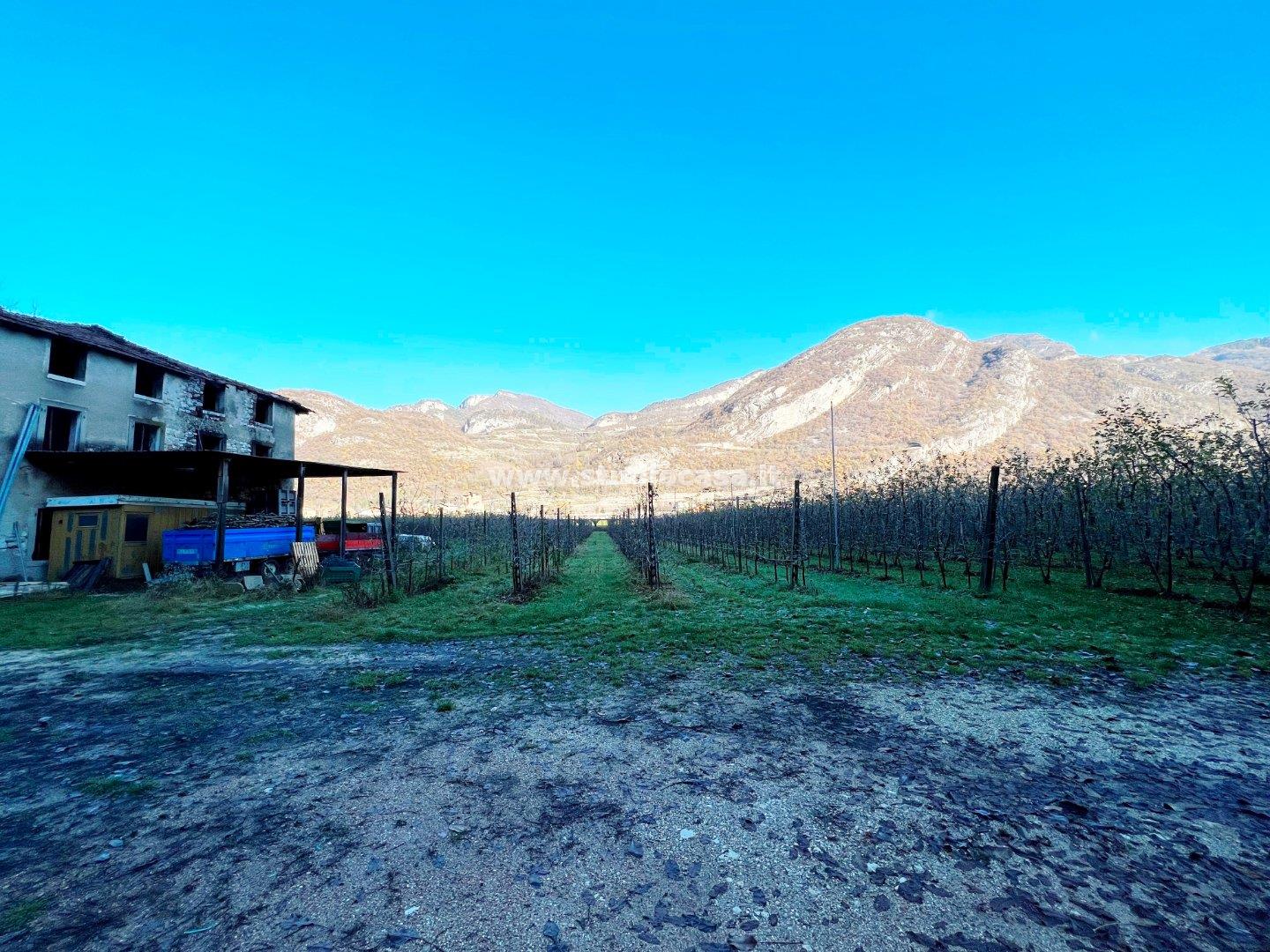 Casale in vendita a Mori