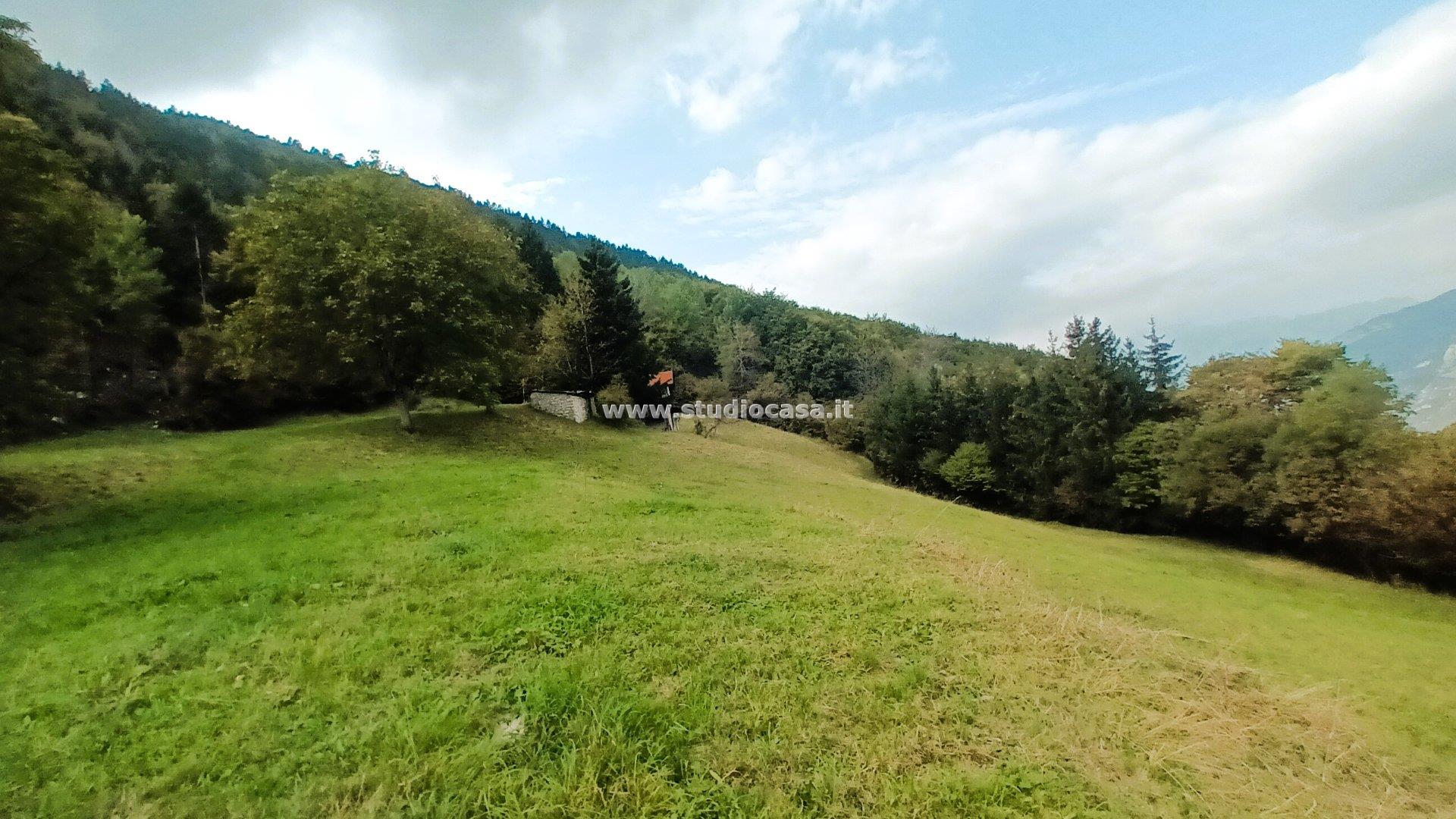 Baita in vendita a Brentonico