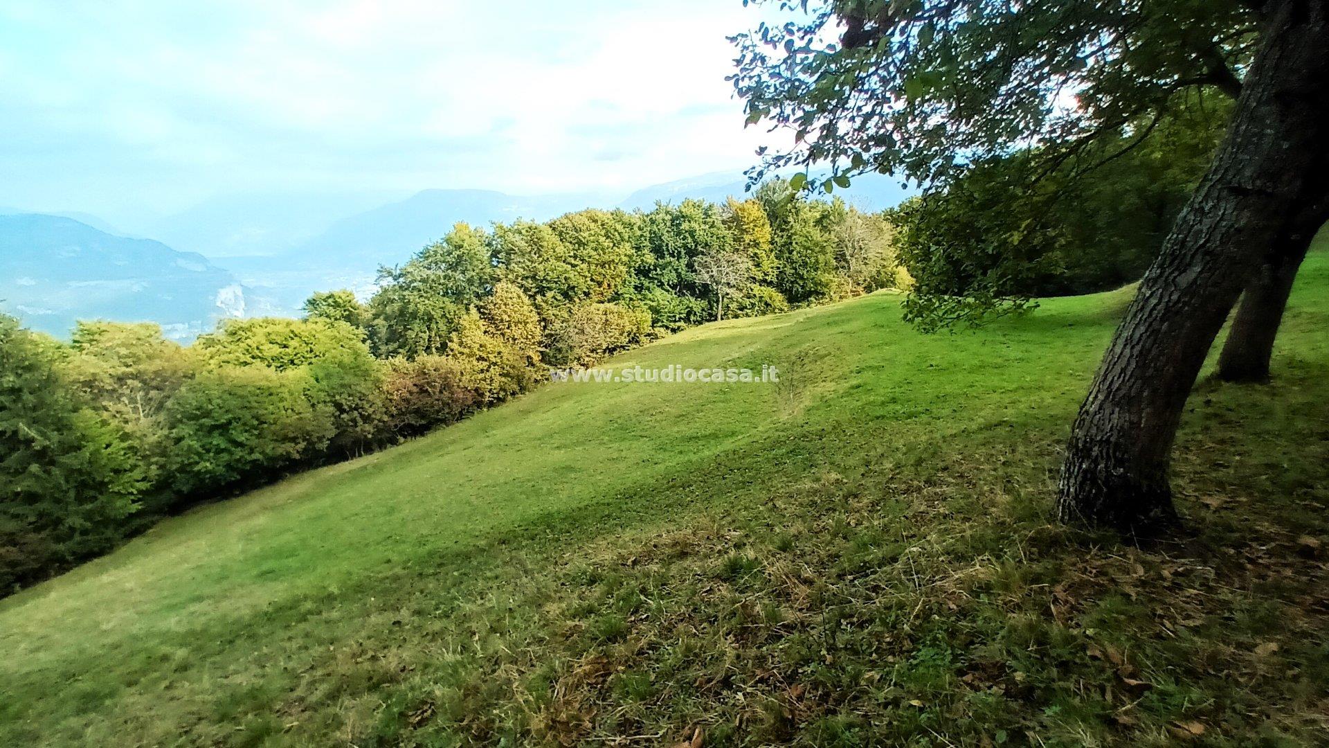 Baita in vendita a Brentonico
