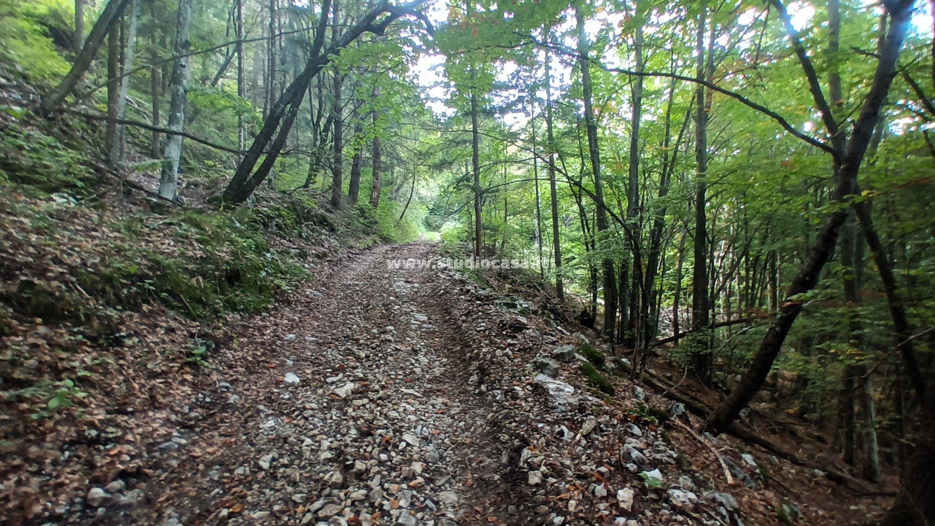 Baita in vendita a Brentonico