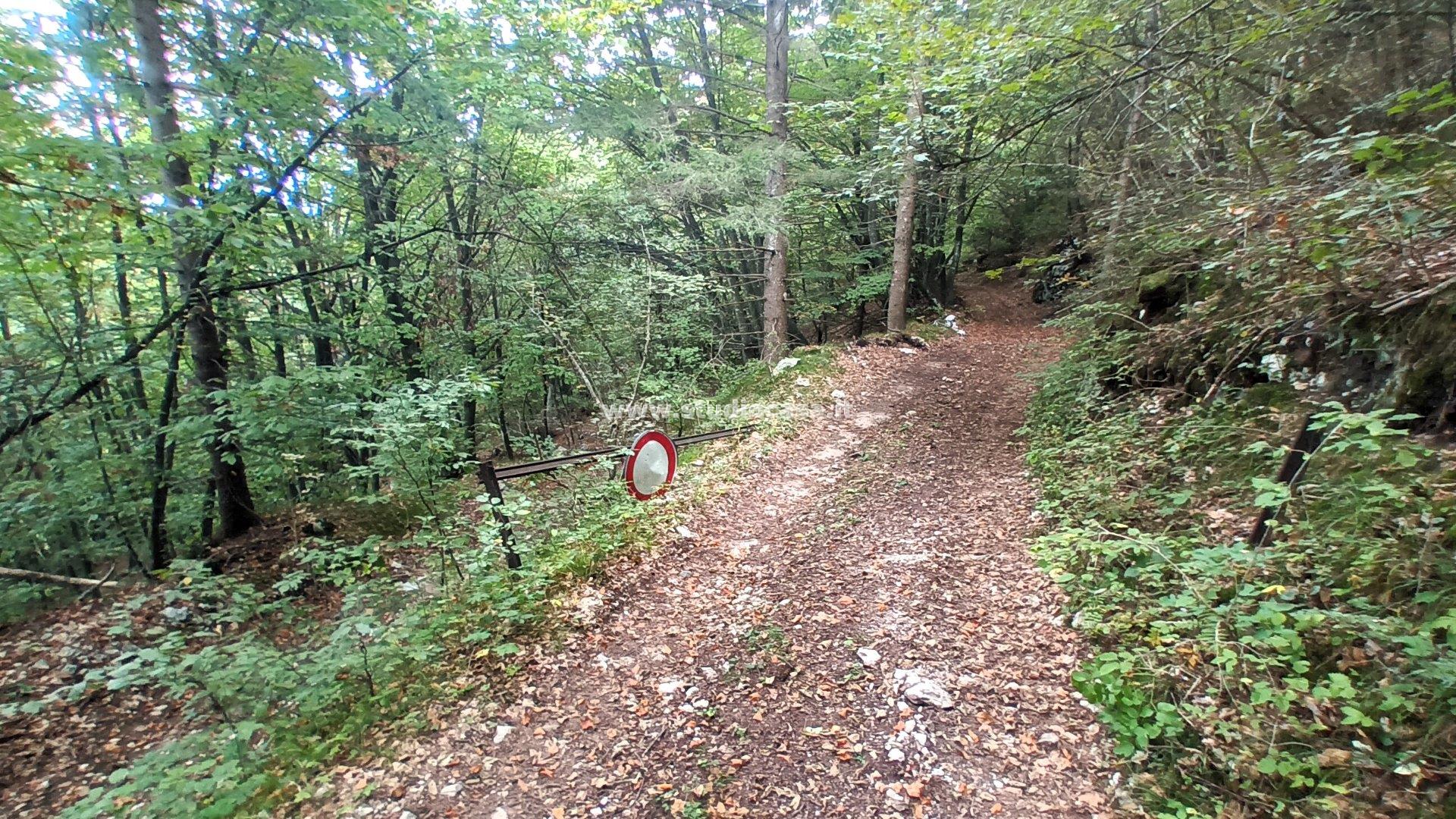 Baita in vendita a Brentonico