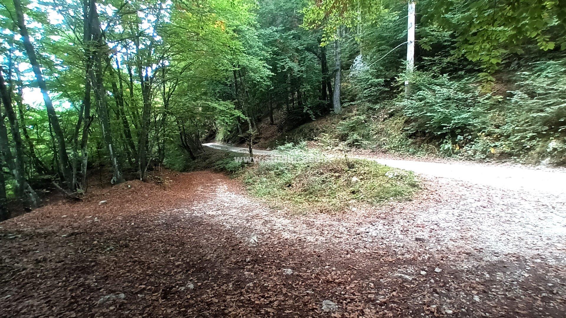 Baita in vendita a Brentonico