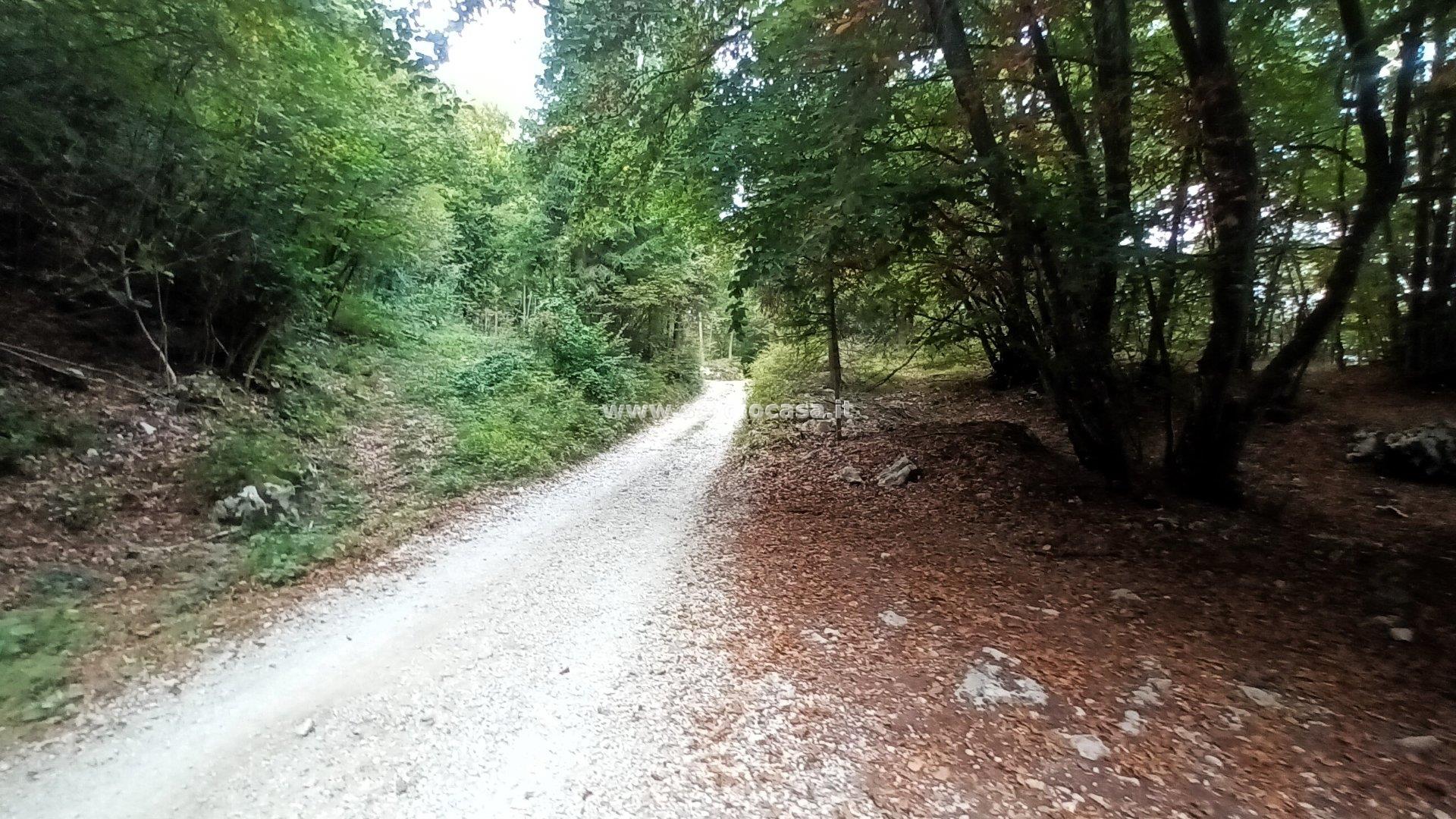 Baita in vendita a Brentonico
