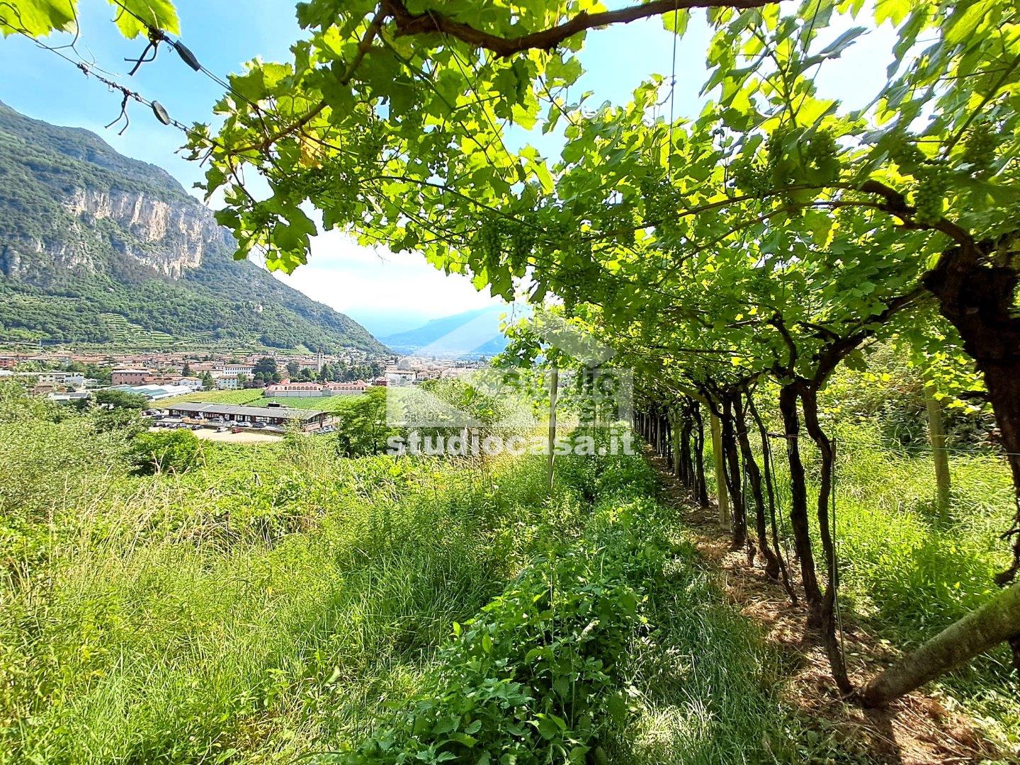 Terreno Agricolo in vendita a Mori