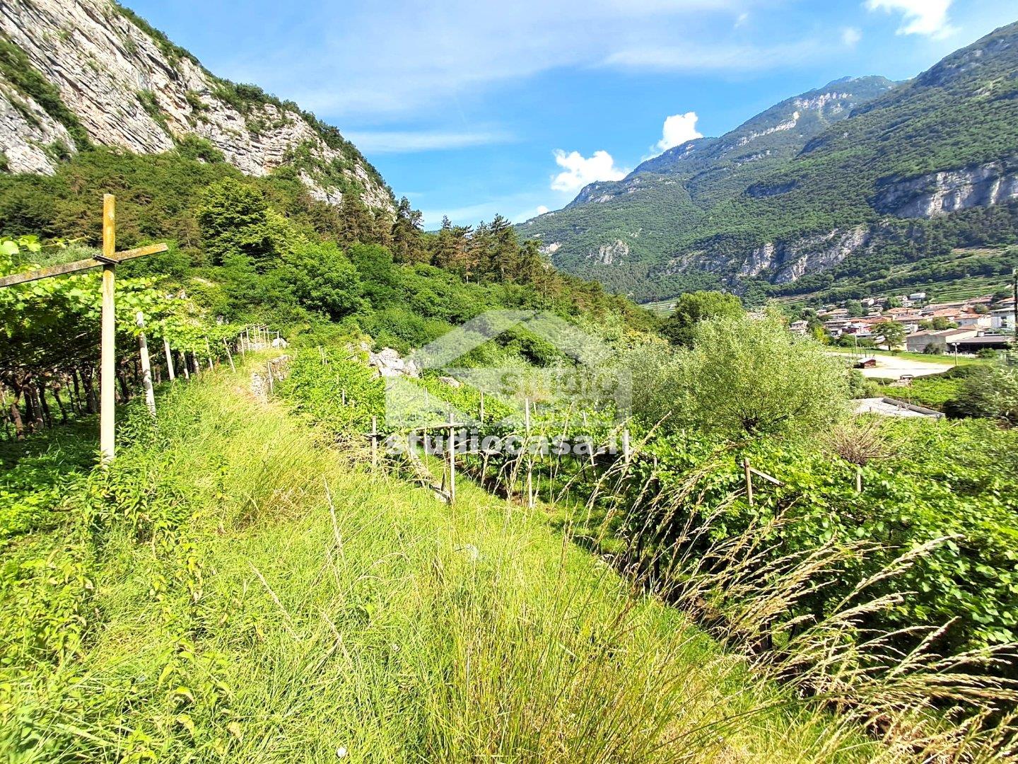 Terreno Agricolo in vendita a Mori