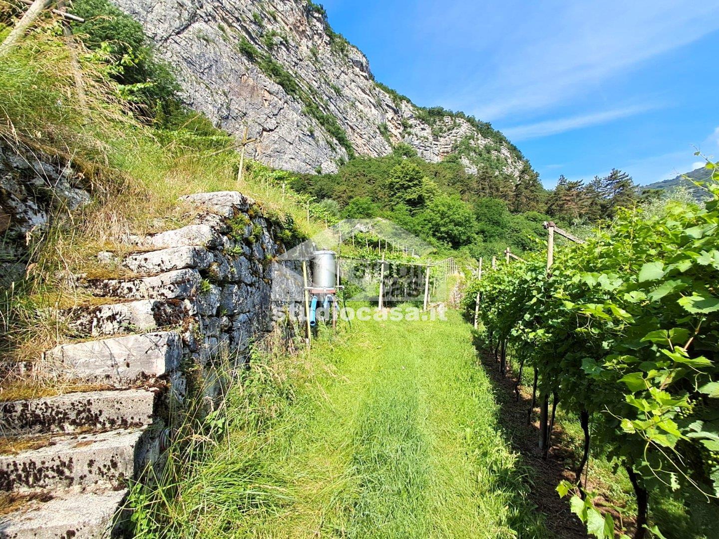 Terreno Agricolo in vendita a Mori