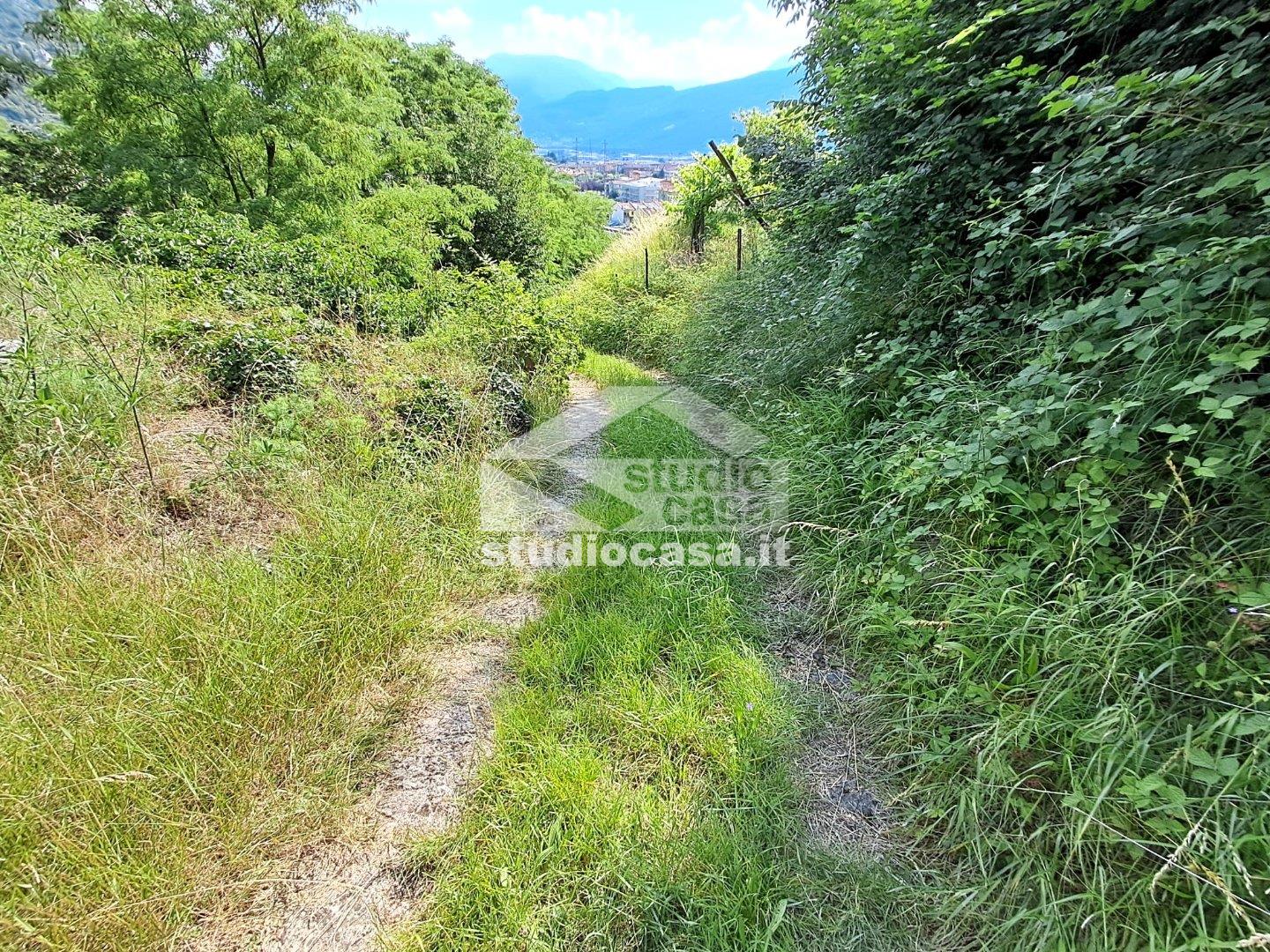 Terreno Agricolo in vendita a Mori
