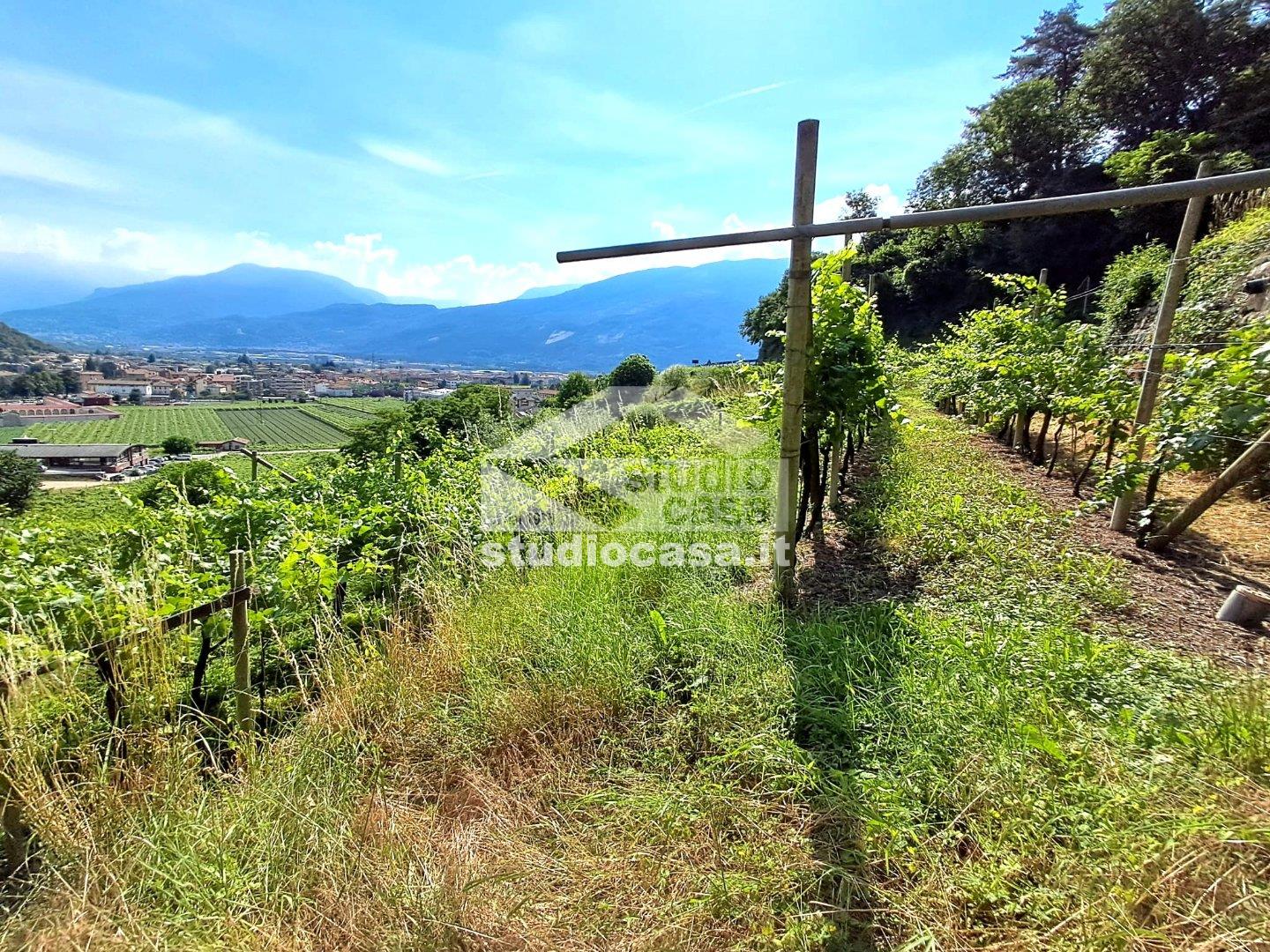 Terreno Agricolo in vendita a Mori