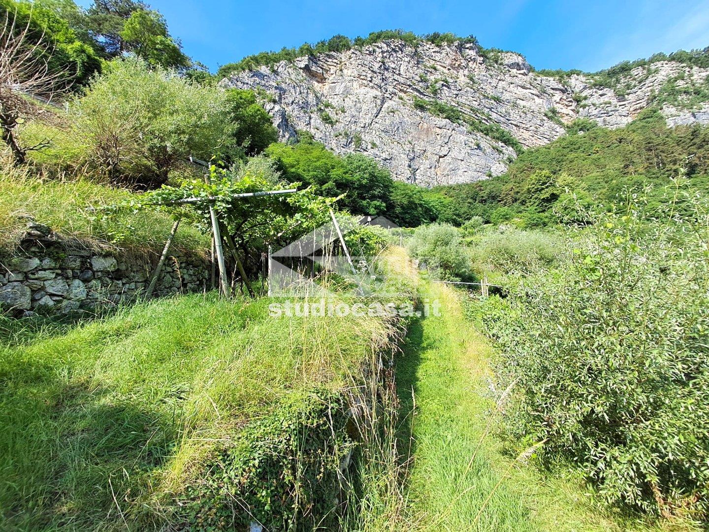 Terreno Agricolo in vendita a Mori