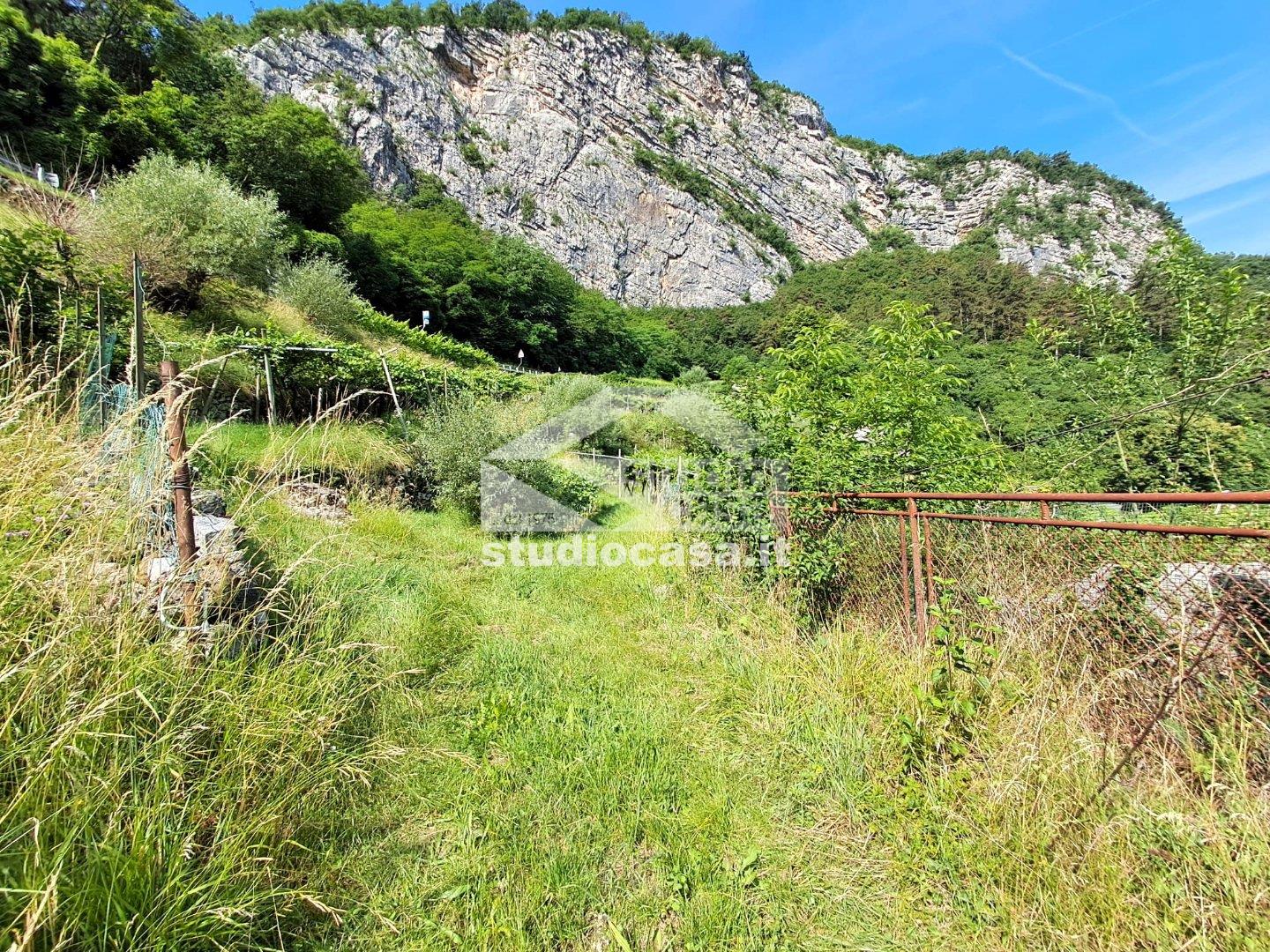 Terreno Agricolo in vendita a Mori