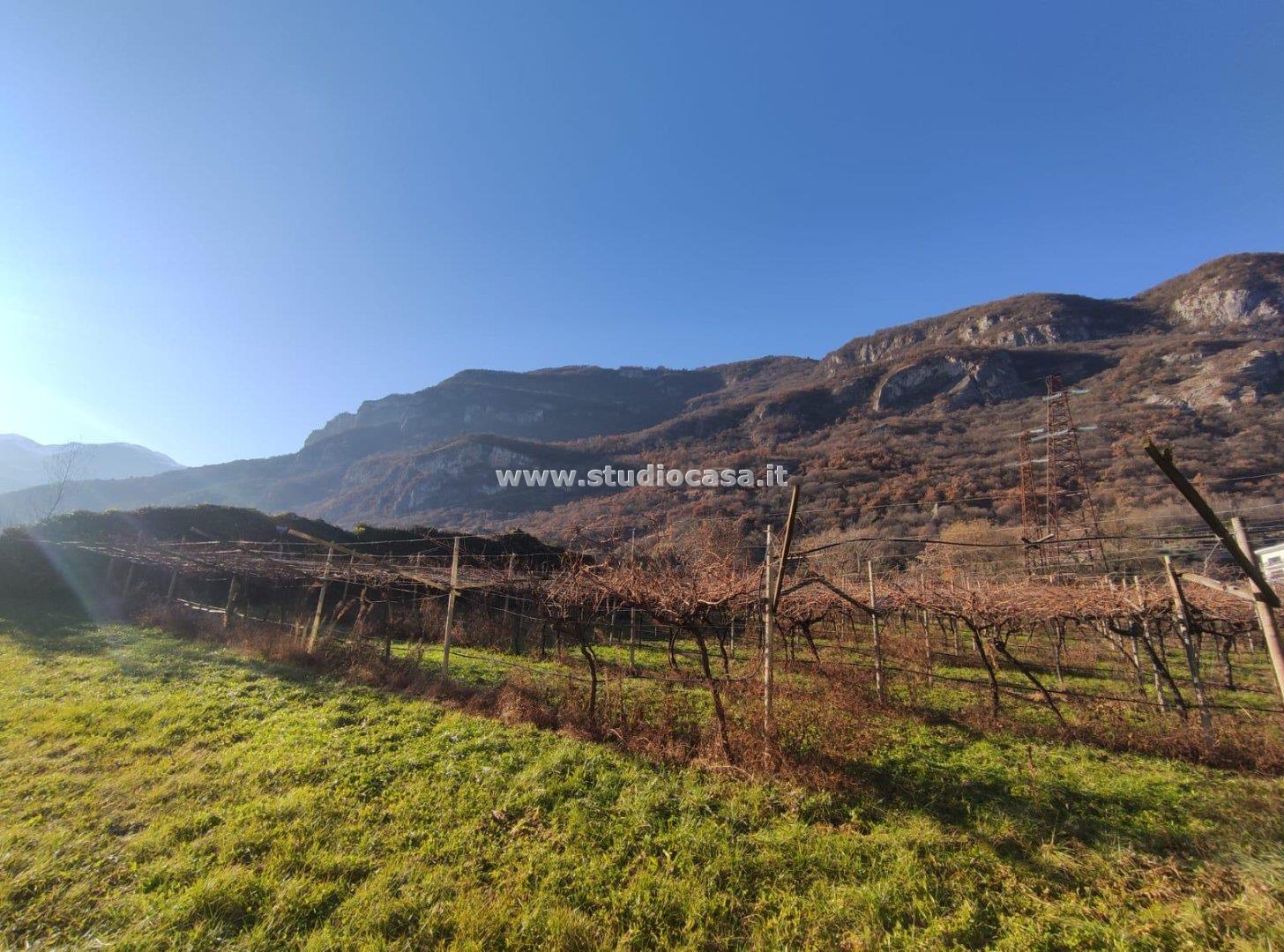 Terreno Agricolo in vendita a Isera