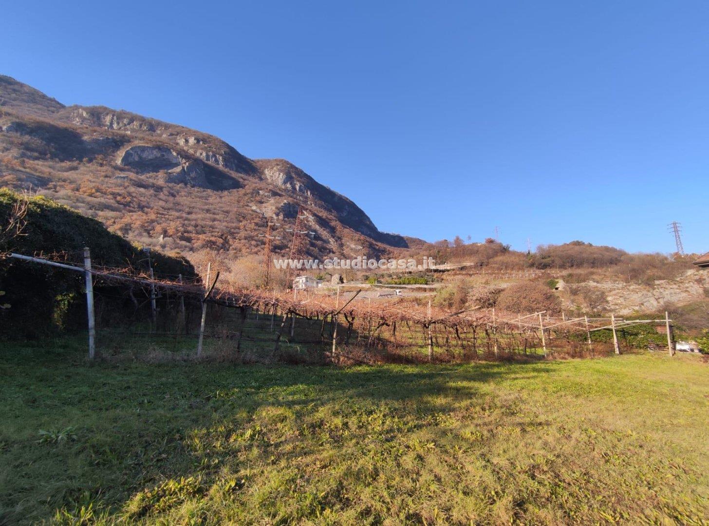 Terreno Agricolo in vendita a Isera