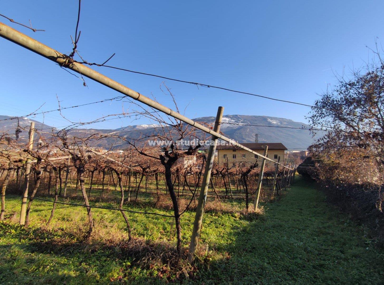 Terreno Agricolo in vendita a Isera