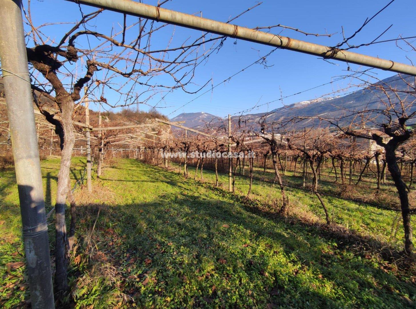 Terreno Agricolo in vendita a Isera