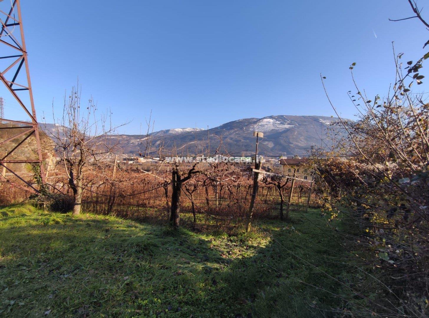 Terreno Agricolo in vendita a Isera