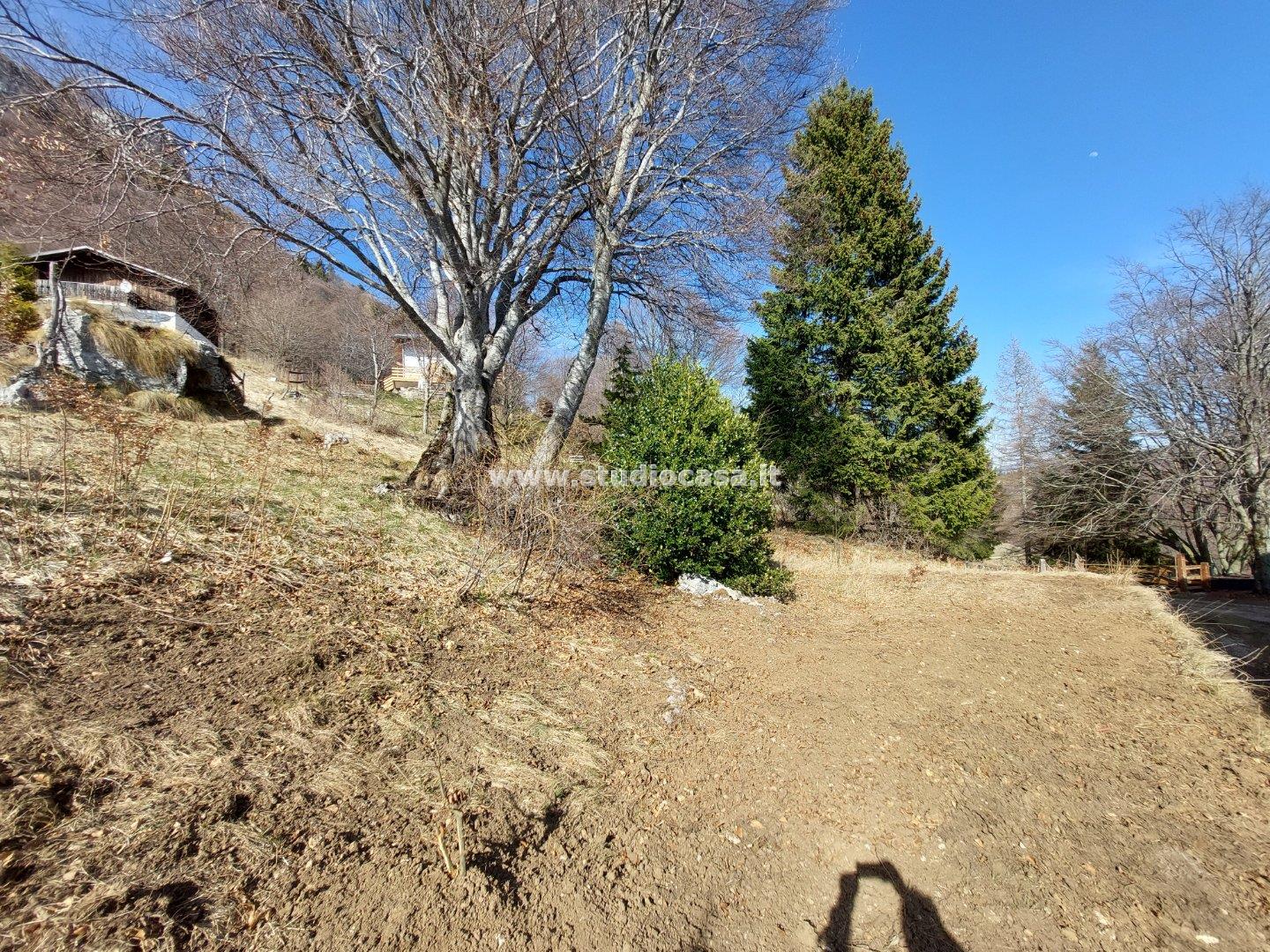 Terreno Residenziale in vendita a Brentonico