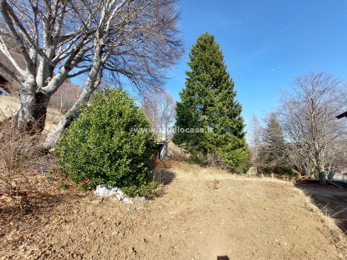 Terreno Residenziale in vendita a Brentonico