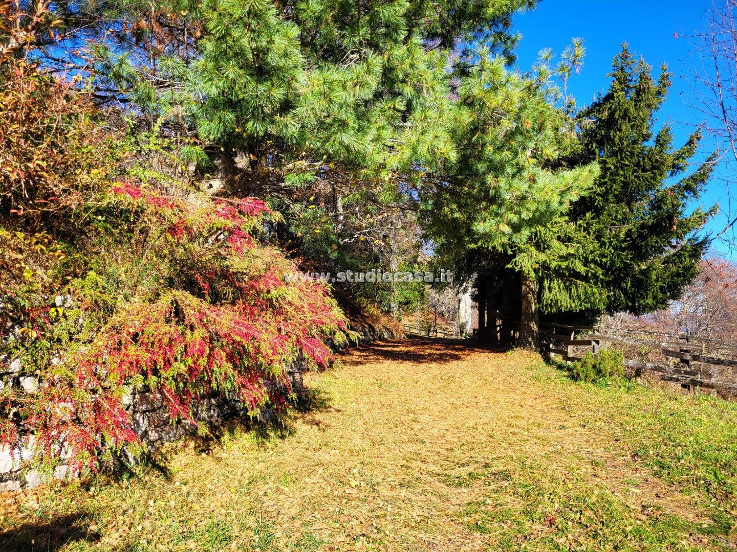 Villa Bifamiliare in vendita a Brentonico