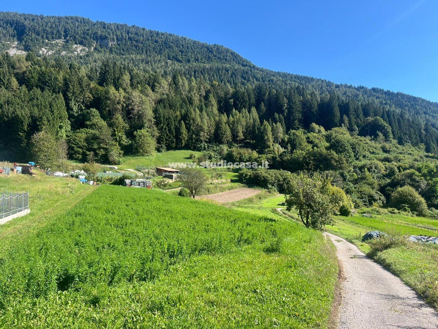 Casa Unifamiliare in vendita a Ronzo-Chienis