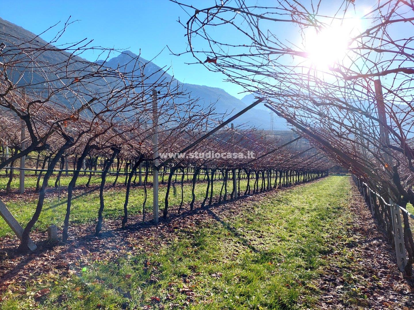 Terreno Agricolo in vendita a Ala