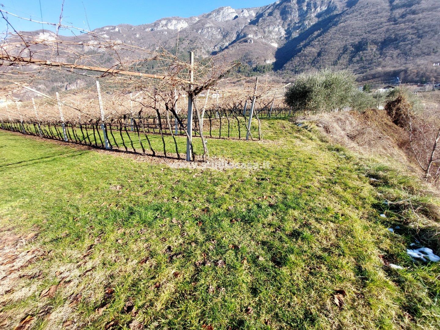 Terreno Agricolo in vendita a Ala
