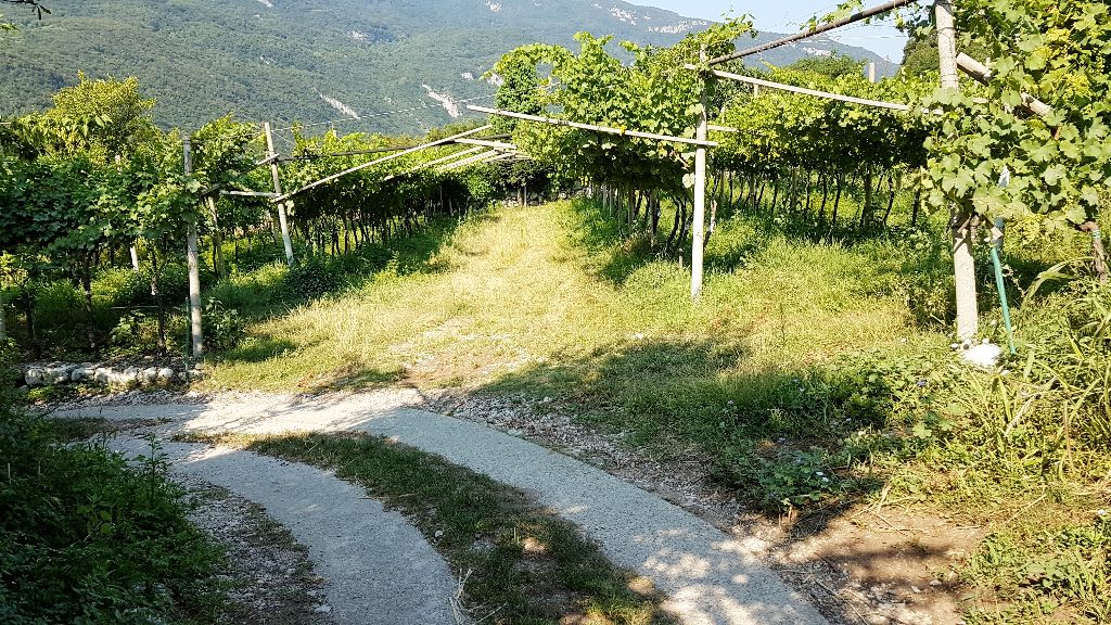 Terreno Agricolo in vendita a Mori
