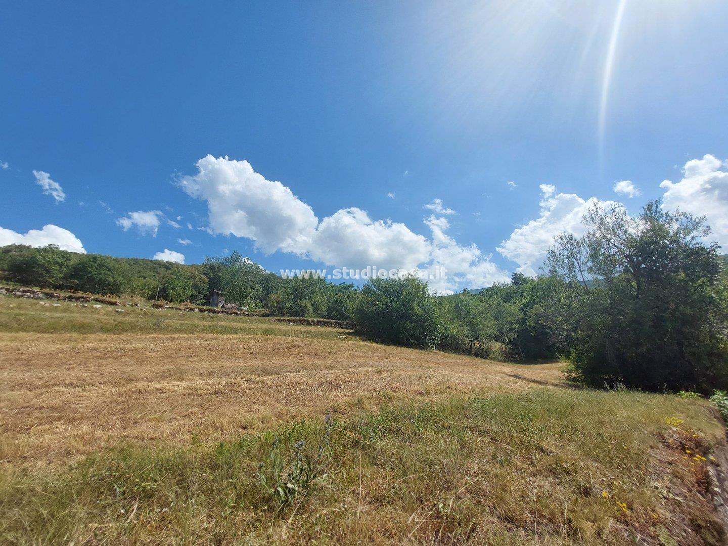 Terreno Residenziale in vendita a Brentonico
