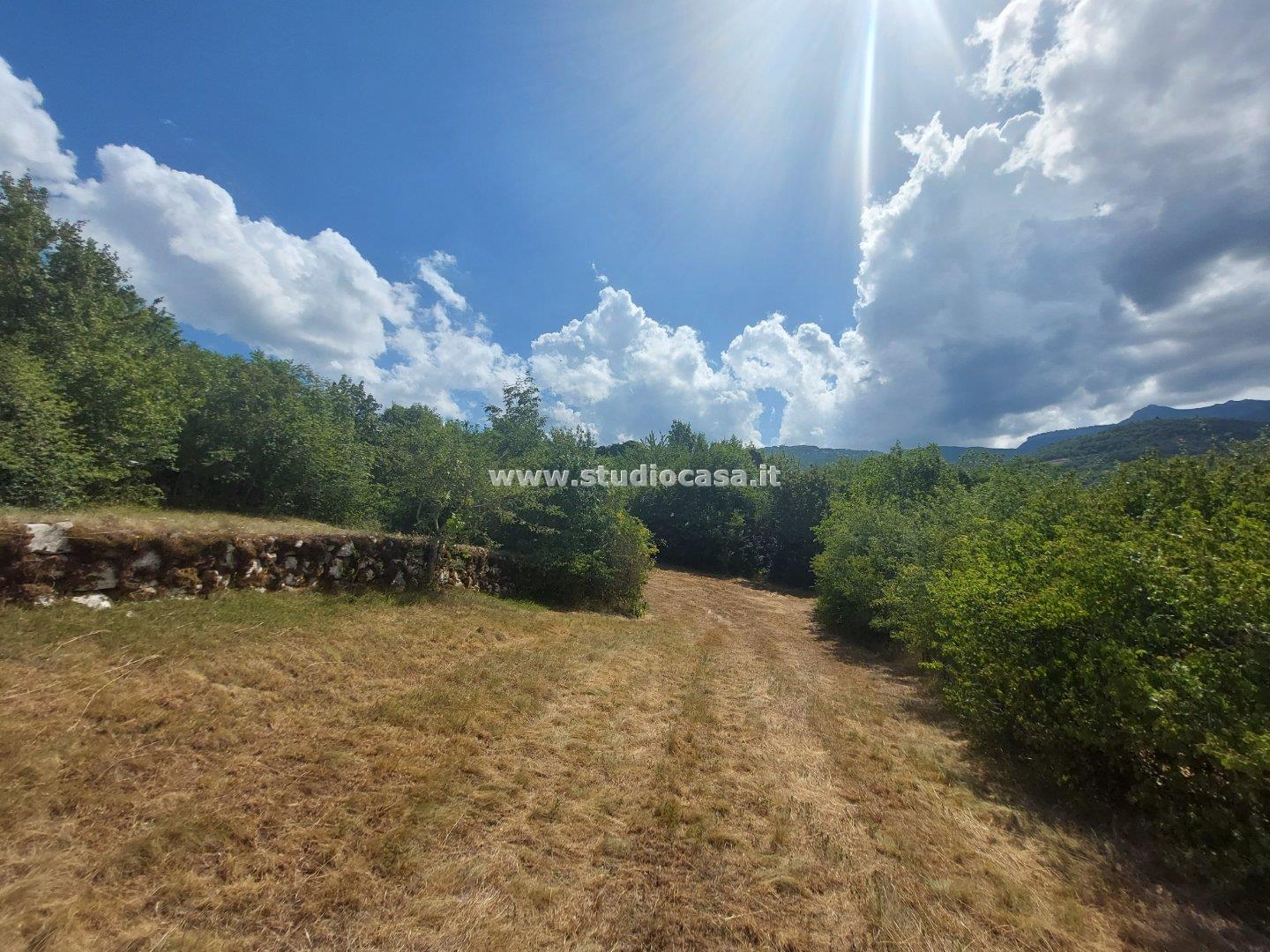 Terreno Residenziale in vendita a Brentonico